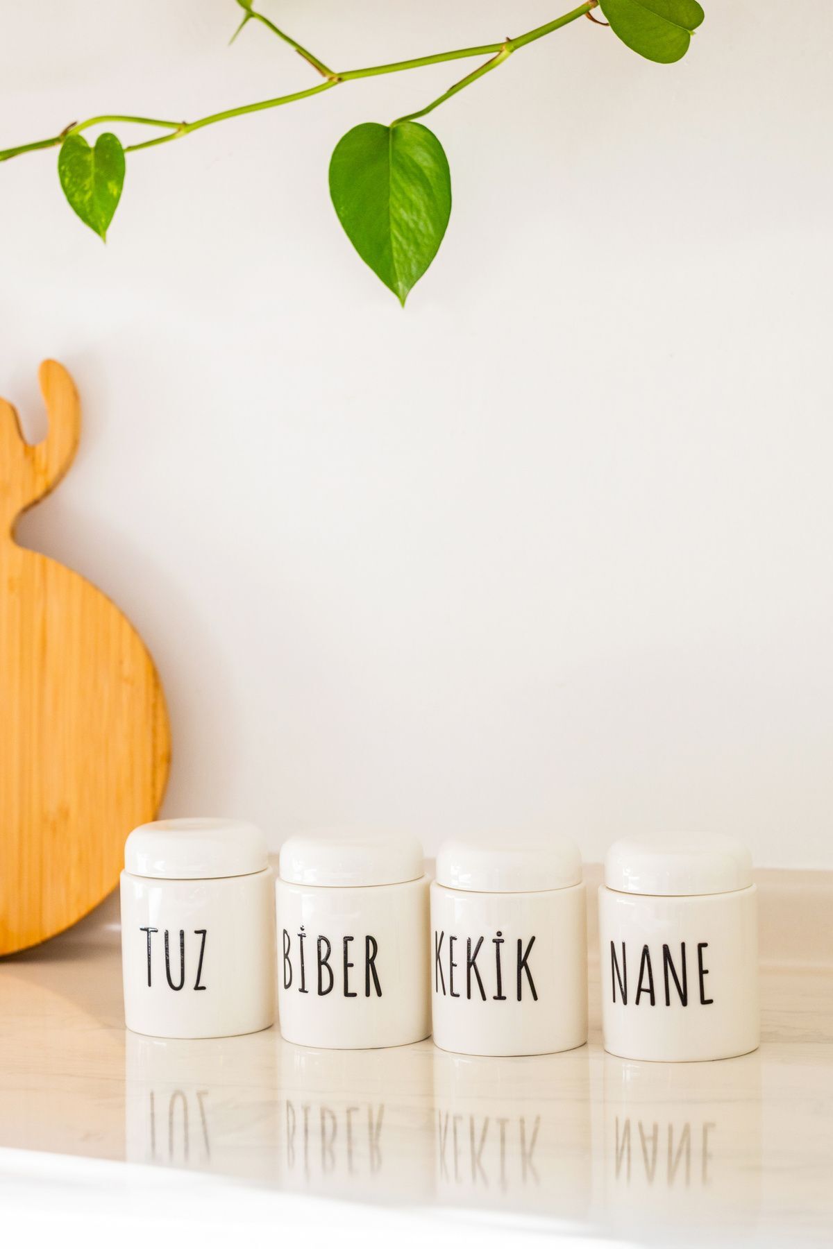 Mien Porselen 4'lü Mini Boy Kavanoz ve Baharatlık 400 ml