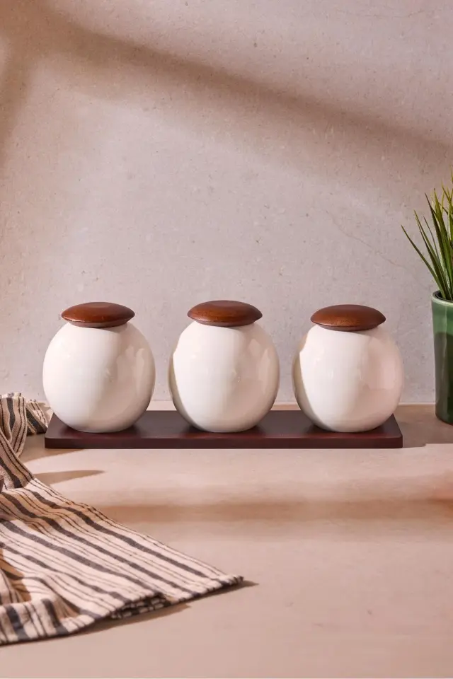 Roco Porselen 3'lü Baharatlık Seti Çok Amaçlı Dekoratif Ergonomik Mutfak Organizeri